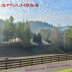 Stillness - Relaxing Piano Man