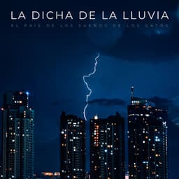 La Dicha De La Lluvia: El País De Los Sueños De Los Gatos - Palacio de la lluvia