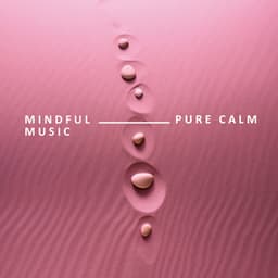 Mindful Music - Stress Relief Calm Oasis