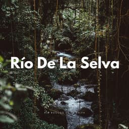 Río Rocoso De La Selva - Agua Mantra