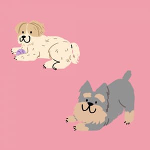 Jazz Organ - Background Music for Wolfy Doggy - Good Dog Music