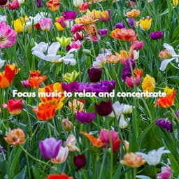 Focus music to relax and concentrate - Speakeasy Jazz Playlist