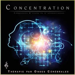 Concentration : Fréquences D'étude de L'apprentissage - Etude Des Ondes Alpha