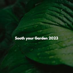 Sooth your Garden 2023 - Afternoon Jazz Playlist