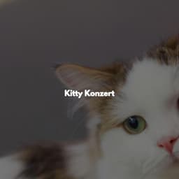 Kitty Konzert - Easy Relaxing Acoustics