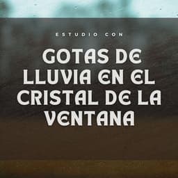 Estudio Con Gotas De Lluvia En El Cristal De La Ventana - Relajarse Lluvia