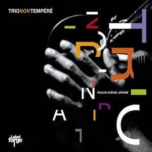 Trio Non Tempéré - François Raulin