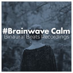 #Brainwave Calm - Binaural Beats Recordings