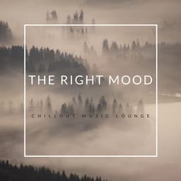 The Right Mood - Chillout Music Lounge
