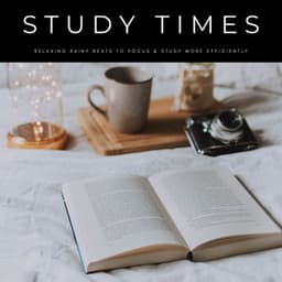 Study Times: Relaxing Rainy Beats To Focus & Study More Efficiently - Relaxing Study Music