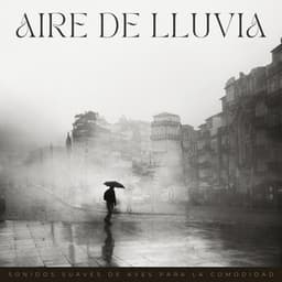 Aire De Lluvia: Sonidos Suaves De Aves Para La Comodidad - Suave al aire libre