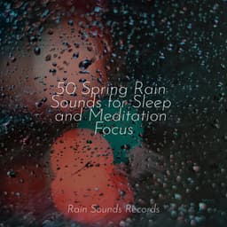 50 Spring Rain Sounds for Sleep and Meditation Focus - Rain Sound Studio
