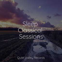 Sleep Classical Sessions - Deep Sleep Brown Noise