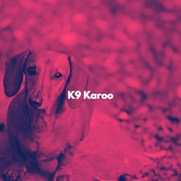 K9 Karoo - Smooth Chill Playlist
