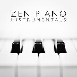 Zen Piano Instrumentals - Cover Me Piano