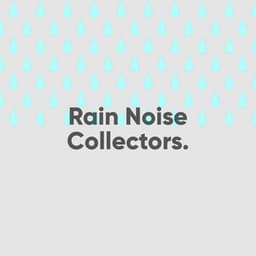 Winter and Spring Rain Sounds Collection - Rain Noise Collectors
