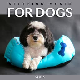 Sleeping Music For Dogs: Calm Dog Music For Dog's Ears and The Best Music For Pets, Vol. 5 - Dog Music