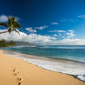 Melodías Reconfortantes Para Una Relajación Suave - Música tranquila de la mañana