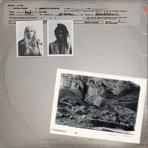 Nothing To Declare - 700 Bliss