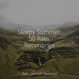 Sleepy Summer 50 Rain Recordings - MEDITATION SPA