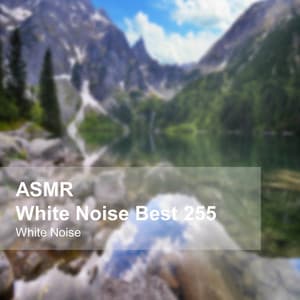 White Noise ASMR Best 255 - White Noise