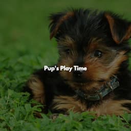 Pup's Play Time - Cafe Jazz BGM
