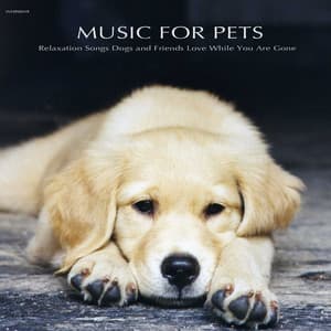 Music for Pets - Relaxation Songs Dogs and Friends Love While You Are Gone - Jonquil Rylie