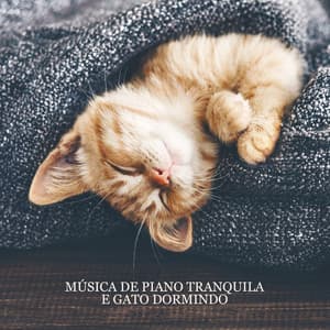 Música de Piano Tranquila e Gato Dormindo: Música Relaxante para a Hora da Sesta - Academia de Música para Animais