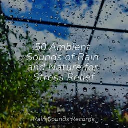 50 Ambient Sounds of Rain and Nature for Stress Relief - Shakuhachi Sakano