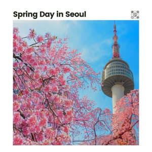 Spring Day in Seoul - Rivers and Streams