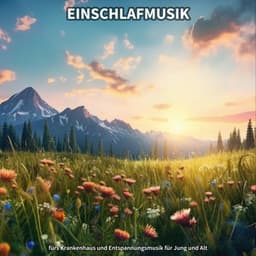 Einschlafmusik fürs Krankenhaus und Entspannungsmusik für Jung und Alt - Entspannungsmusik zum Einschlafen und Durchschlafen