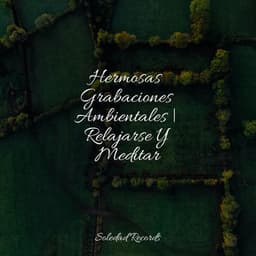 Hermosas Grabaciones Ambientales | Relajarse Y Meditar - Massagem Coleção de Músicas