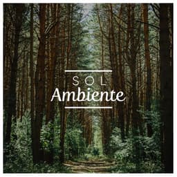 Sol Ambiente - Relajacion Del Mar