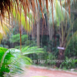 Tropical Rain with Deep Thunderstorm Vol. 2 - Recorder Rain