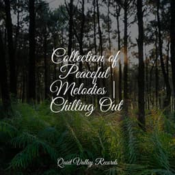 Collection of Peaceful Melodies | Chilling Out - Lush Rain Creators
