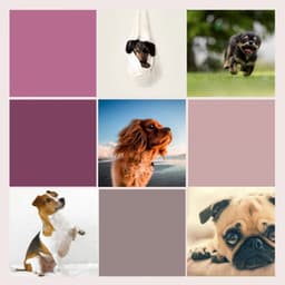 Background Music - Sleeptime for Dogs