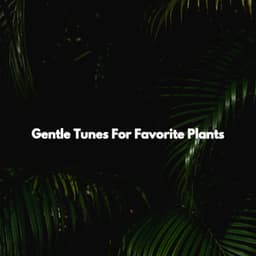 Gentle Tunes For Favorite Plants - Jazz Rilassante Playlist