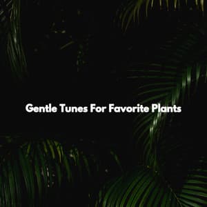 Gentle Tunes For Favorite Plants - Jazz Rilassante Playlist