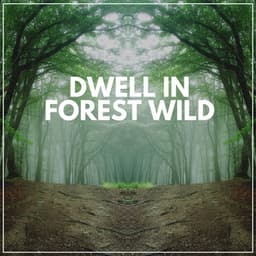 Dwell in Forest Wild - Forest Soundscapes