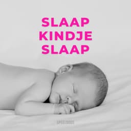 Slaap Kindje Slaap  - Speeldoos - Benjamin Bonum Nocte