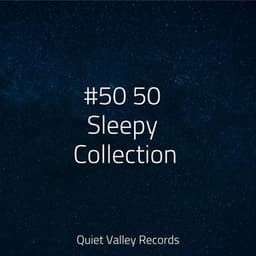 #50 50 Sleepy Collection - Lush Rain Creators