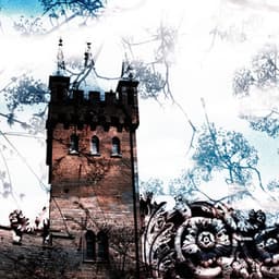 Neo-Classical Acoustic Endeavor - Benjamin Starnberg