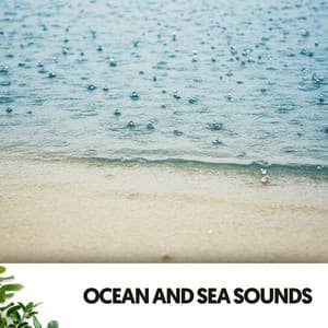 Ocean and Sea Sounds: Lullabies for the Little Dreamer - Solfeggio Frequencies 528Hz