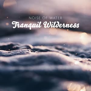 Tranquil Wilderness - Noise of Water