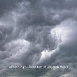 Breathing Clouds for Relaxation Vol. 1 - Relaxation Playlist