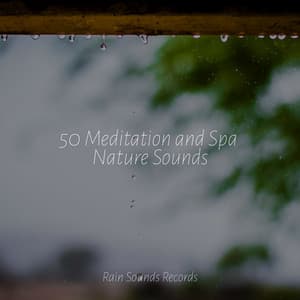 50 Meditation and Spa Nature Sounds - Meditation