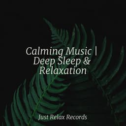 Calming Music | Deep Sleep & Relaxation - Massage Therapy Music