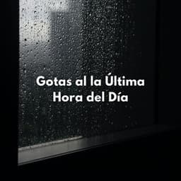 Gotas Al La Última Hora Del Día - Llovido