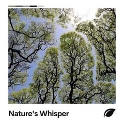 Nature's Whisper - Bird Sounds