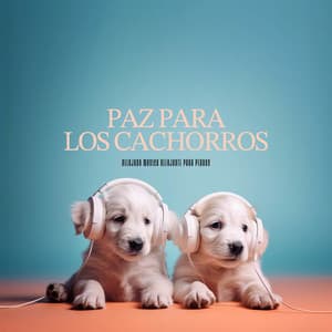Paz para los cachorros - Relajado Musica Relajante para Perros
